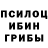 Псилоцибиновые грибы Psilocybine cubensis movie creatures
