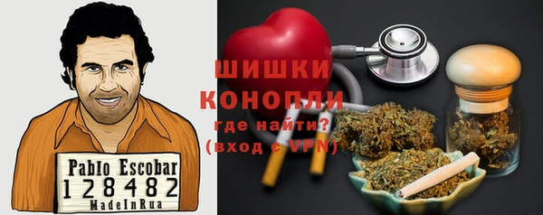 PSILOCYBIN Ельня
