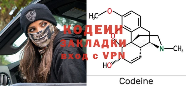 PSILOCYBIN Ельня