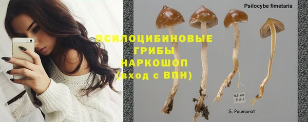 PSILOCYBIN Бердск