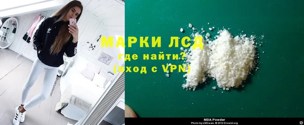 PSILOCYBIN Ельня