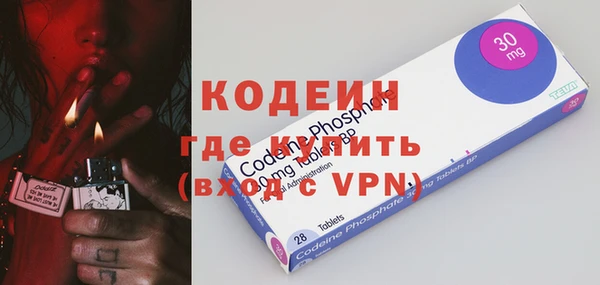 PSILOCYBIN Ельня