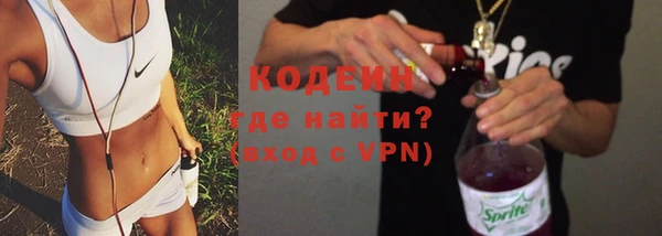 PSILOCYBIN Ельня