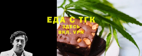 PSILOCYBIN Ельня