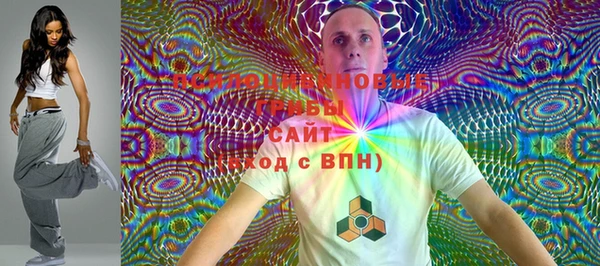 PSILOCYBIN Ельня