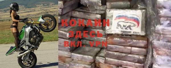 метадон Елизово