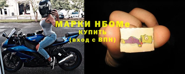 PSILOCYBIN Ельня